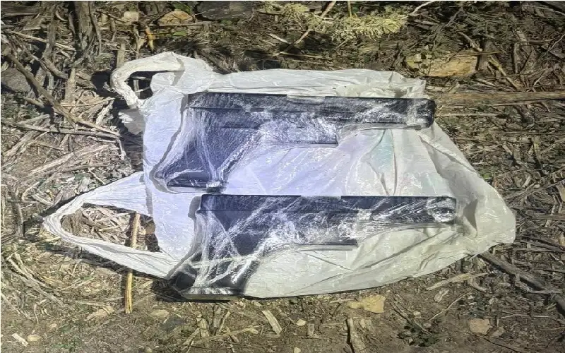 اسرائيل تزعم إحباط تهريب اسلحة من