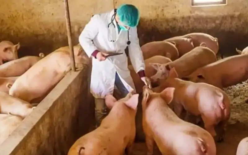 استنفار صحي في إسبانيا بعد رصد