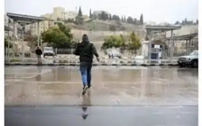 الاستهواد.. والمعرفة المفقودة ـ بقلم: د.