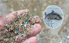 5 طرق تضر بها المواد اstrongلبstrongلاستيكية