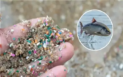 الملك: فخورون بتواجد اسم الأردن في