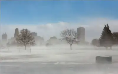 مهرجان الزيتون يعلن إعادة الرسوم لأصحاب