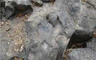 هل تناول جرعة عالية من حمض