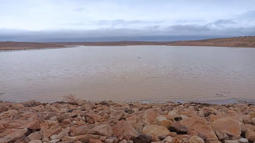 فيضان سد الوحيدي في معان