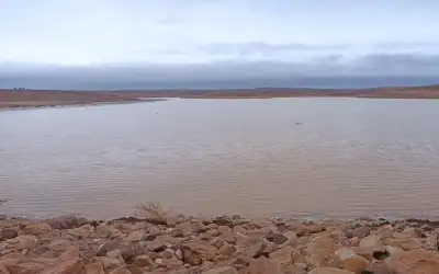 المومني: الملك يفند الرواية الاسرائيلية أمام