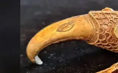 إيران التي أكلت النار ثوبها ..