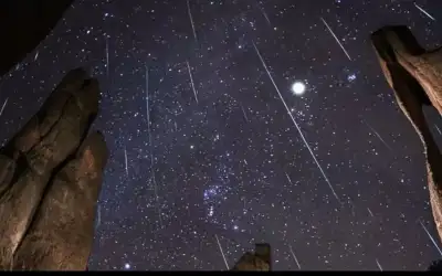 المطر والعشاق والأخبار العاجلة ـ بقلم: