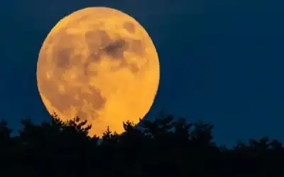 الحكومة الأردنية توافق على تمويل بـ10