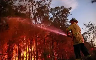 تصريح غريب لماسك يحذر من قرب