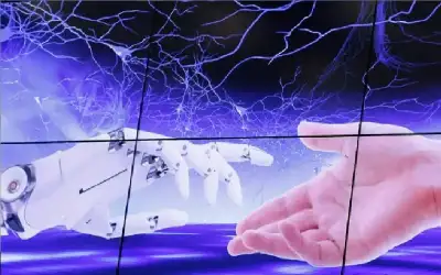 إلى متى جرائم المستعمرة ـ بقلم: