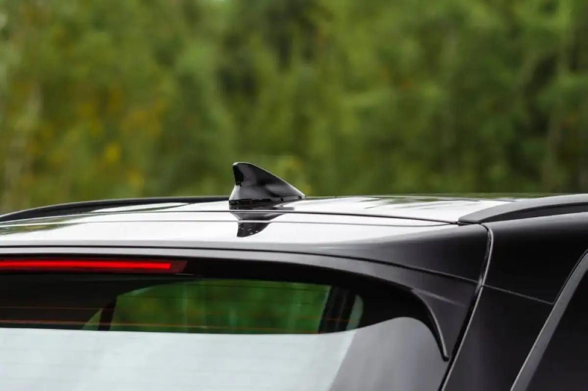 وظائف غير متوقعة.. ما أهمية زعنفة