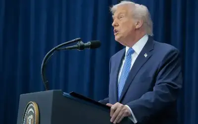 فوائد نبتة البقلة