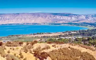 دراسة تكشف أن الجراثيم يمكن أن