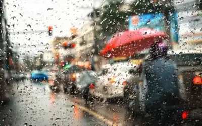 تناول هذه الفواكه الـ 6 يكافح