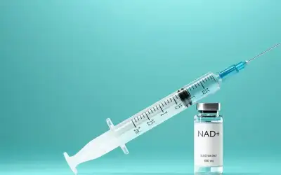 بدء فرز الأصوات في انتخابات مجلس