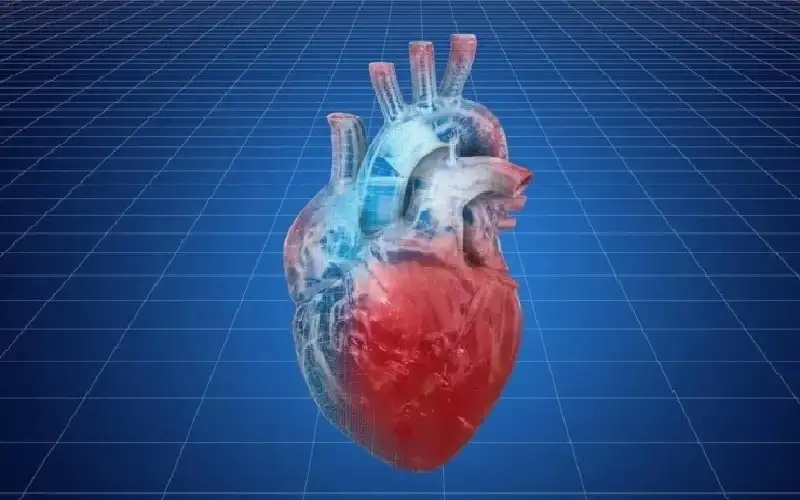 اعتلال عضلة القلب الوراثي: مرض صامت