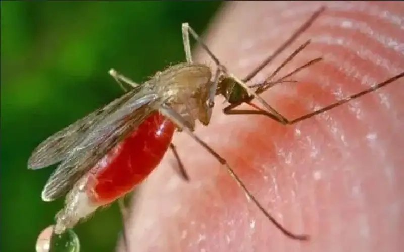 لأول مرة في الأردن.. اكتشاف مقلق