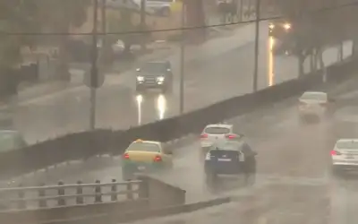 صمتا.. إنهم يولدون ـ بقلم: محمد