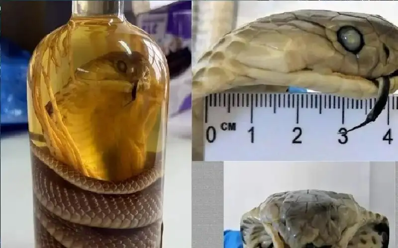 بطريقة لا تخطر على بال.. امرأة