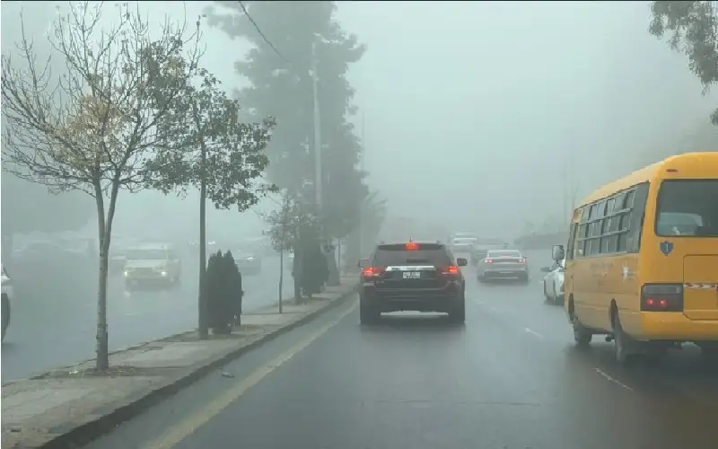 الضباب يلف مناطق واسعة من المملكة