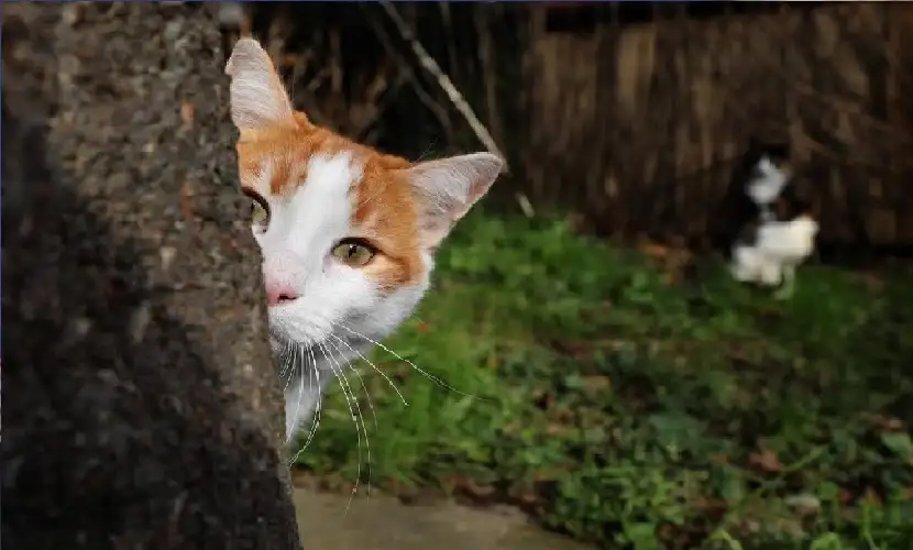 دراسة صادمة تحذرك.. ماذا يعني وجود