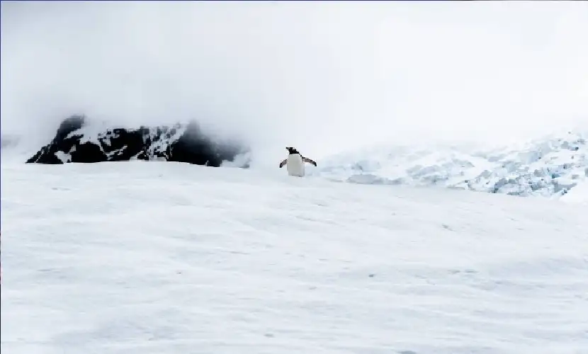 98 درجة تحت الصفر.. العلماء يكشفون