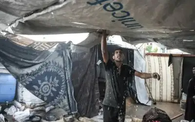 أردوغان يدعو بوتين لوقف إطلاق النار