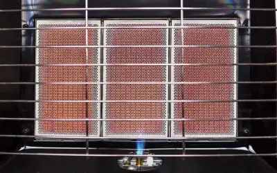 النشامى .. من كأس العرب إلى