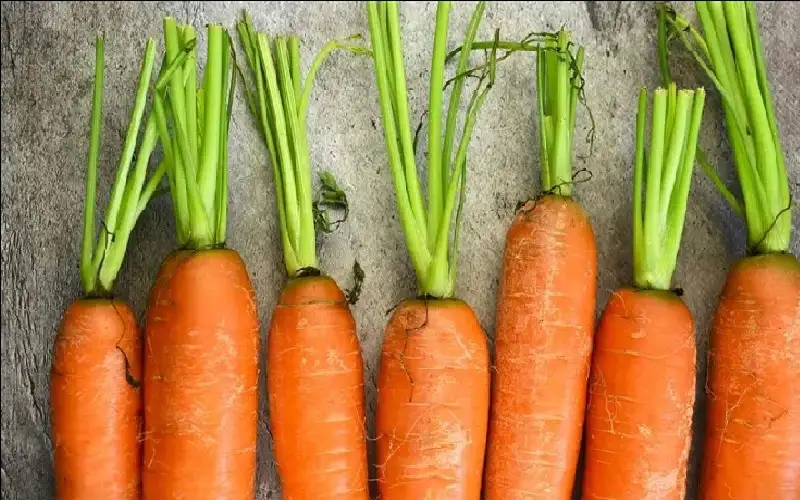 خبراء يجيبون: هل يحسن فيتامين أ