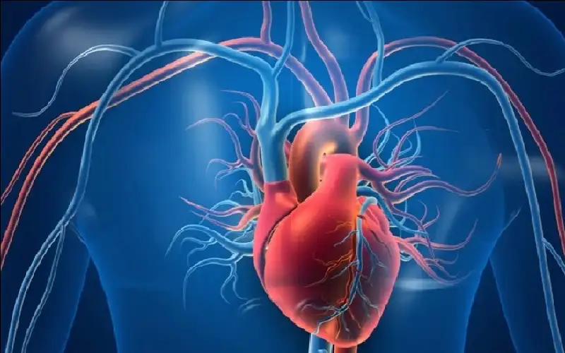 فحص للسرطان يكشف مخاطر الإصابة بأمراض