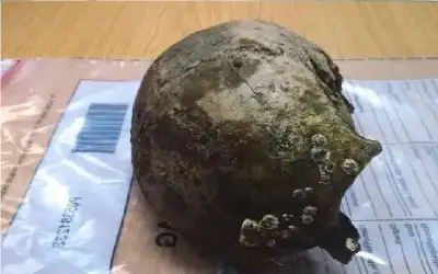 ثقافة ـ اكتشف سرا عمره آلاف السنين