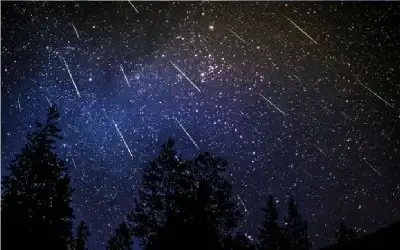 الذهب يستقر مع ترقب المستثمرين لمحادثات