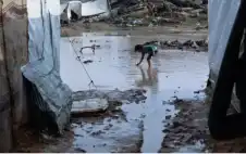 ربع مليون متضرر من العاصفة بغزة