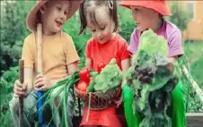 صحة ـ دراسة عالمية تكشف تأثير الحمية النباتية