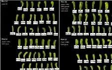 شومان تدعم مشروعا ابتكاريا للمركز الوطني