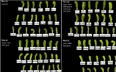 مواطن يهدد بحرق نفسه بـرفقة طفليه