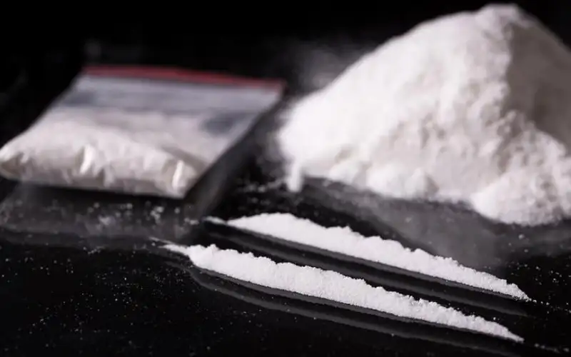 صحيفة نيسان ـ الجمارك تضبط كميات من المواد المخدرة