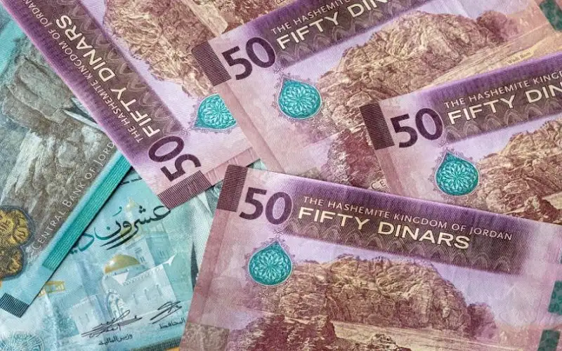 صحيفة نيسان ـ فيتش سوليوشنز: توقعات بتواصل خفض الفائدة