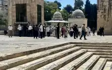 عشرات المستعمرين يقتحمون الأقصى