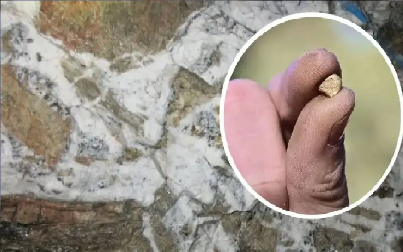 اكتشاف مذهل.. طريقة جديدة لتحديد مواقع