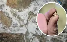 اكتشاف مذهل.. طريقة جديدة لتحديد مواقع