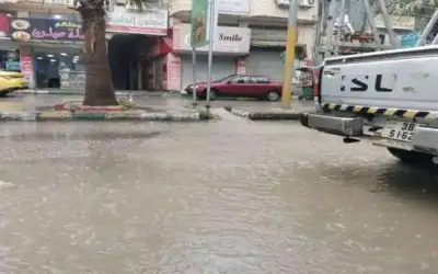 48 ألف فرصة عمل رقمية في