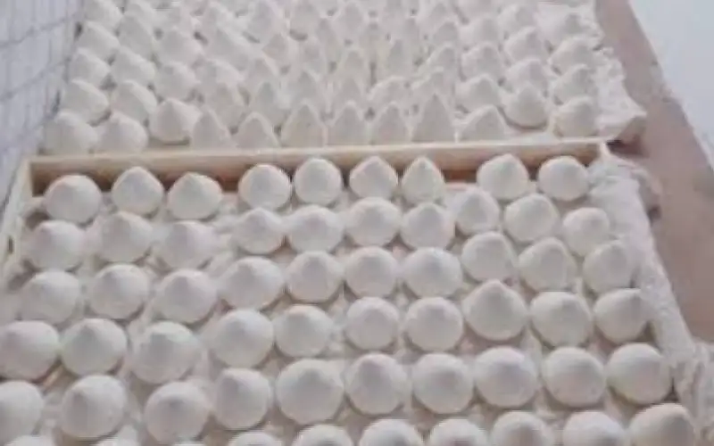 صحيفة نيسان ـ الغذاء والدواء تغلق مستودع جميد غير