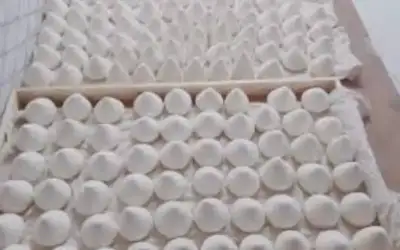 الأعيان يقر 3 مشاريع قوانين كما