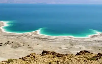 البرازيل تسجل 751 وفاة جديدة بكورونا