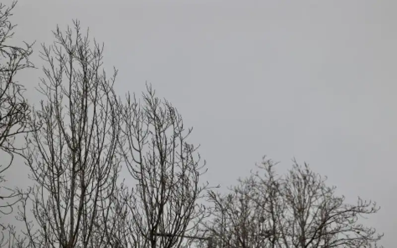 زخات مطرية ممزوجة بالثلوج فوق الجبال