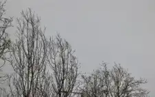 زخات مطرية ممزوجة بالثلوج فوق الجبال