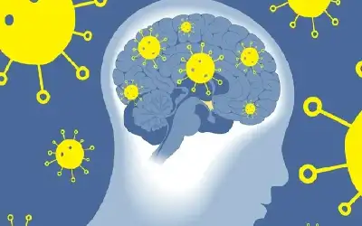 الطاقة والمعادن: لا يوجد توزيع لفاقد