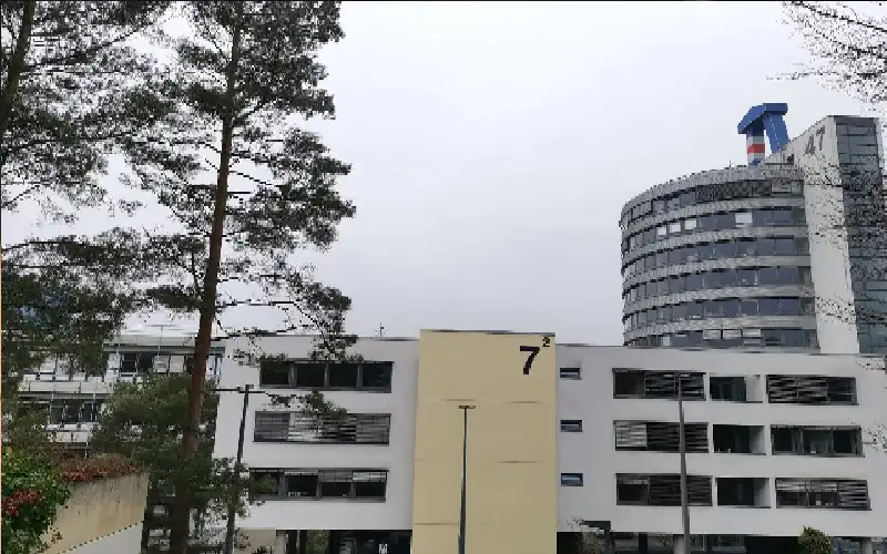 فتاة في الـ 12 تدرس الاقتصاد