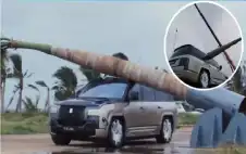 شجرة بوزن طنين تسقط على سيارة